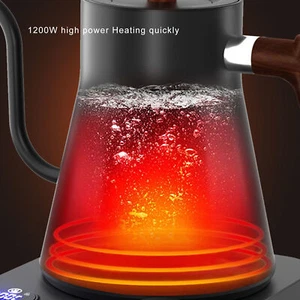 Electric Gooseneck Kettle with Precise Temperature Control for Home - Picture 1 of 24