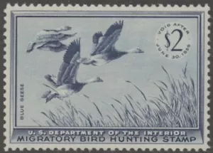 RW22 1955 Federal Duck Stamp Mint NH Grade XF-SUPERB 95 with PSE Cert (SI) - Picture 1 of 2