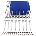 16X Intake Exhaust Valves & Cotters Keepers Set For Vw Tiguan Gli Audi  A4 2.0T