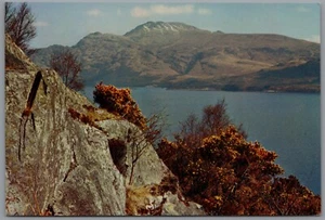 Ben Lomond from Loch Lomond Dunbartonshire Scotland Postcard - Picture 1 of 2