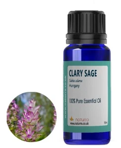 Clary Sage Pure Essential Oil  5ml  10m 20ml   100% Pure - Picture 1 of 2