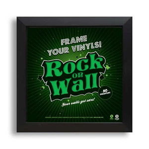 Record Album Frame Cover Wall Mount Display LP Vinyl Collection Sleeve Disc - Picture 1 of 4