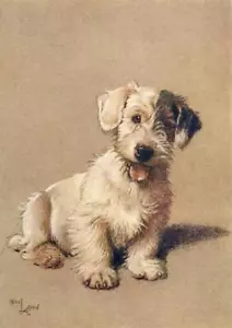 Cecil Aldin A Dozen Dogs or So PrInt Photo Picture No.4 - Picture 1 of 2
