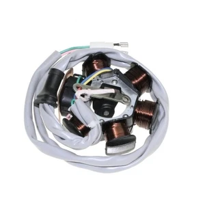 Lichtmaschine Stator für Piaggio NRG mc2 50 AC DT Extreme C21000 - Bild 1 von 3