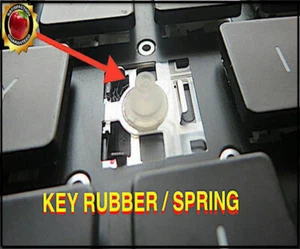 🍒 Macbook Pro Key Rubber / Spring / Nipple MODELS: A1425 A1502 A1398 - Afbeelding 1 van 7