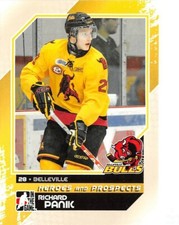 2010-11 In The Game Heroes & Prospects #15 Richard Panik
