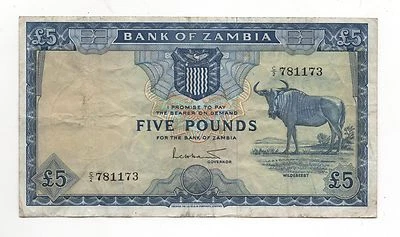 ZAMBIA 5 POUNDS 1964 PICK 3 LOOK SCANS - Image 1 of 2