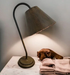 Vintage Gooseneck Desk Lamp Art Deco Industrial with Cast Iron Base 19.5” RF5 - Picture 1 of 17
