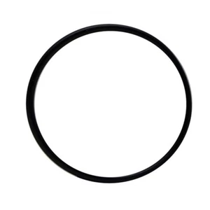 Laguna Pressure-Flo Pressurised Filter UV-C Head O-Ring - Picture 1 of 1