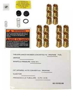 OEM PROTECH EP-94D Natural Gas To Lp Conversion Kit - Picture 1 of 5