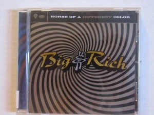 Big & Rich – Horse Of A Different Color - 2004 - COUNTRY - Imagen 1 de 2