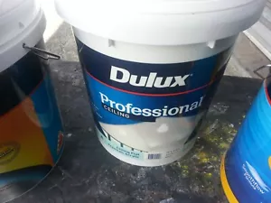 DULUX 15 LITRE PRO INTERIOR CEILING-FLAT GRAND-PIANO 1/2 COLOR PAINT - Picture 1 of 1