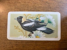 BROOKE BOND RED ROSE TEA CARDS - SERIES 1 - SONGBIRDS OF NORTH AMERICA