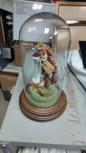 PICCOLO PRESEPE NAPOLETANO IN CAMPANA DI VETRO, INTEGRO COME DA FOTO - Foto 1 di 3