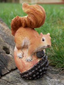 New Squirrel On Nut Garden Ornament Resin Outdoor Lawn Decoration Cute Gift - Picture 1 of 5