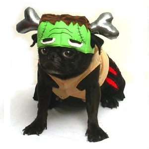 Barkenstein Hund Frankenstein Kostüme - Halloween grün Monster Hunde Bekleidung  - Bild 1 von 5