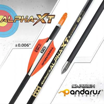Pandarus Alpha XT Target Carbon Arrows - image 1 of 4