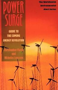 Power Surge: Przewodnik po nadchodzącej rewolucji energetycznej Christopher Flavin (Englis