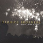 Yours, Mine and Ours by The Pernice Brothers (CD, 2003)