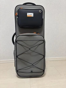 Bam Alto Sax Case - Picture 1 of 8