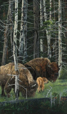 Judy LARSON "The Survivors" Edición Limitada Arte LIENZO Buffalo & Young Calf Foto 1 de 4