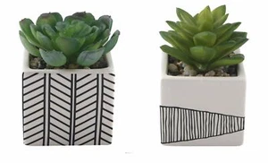 Flora Bunda Artificial Plant Cactus Succulent in 3" Tribal Ceramic Pot Set of 2 - Bild 1 von 9