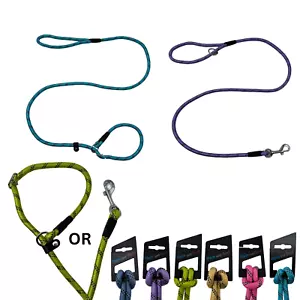 Premium Slip or Clip Dog Lead Nylon Rope Reflective UK SELLER Nose Band Hem Boo - Picture 1 of 35