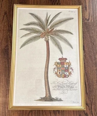 Botanical Palm GDE03 Georg Dionysius Ehret Wall Decor Art Print 21” X 14” Framed - Image 1 of 4