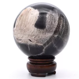 74mm Petrified Fossil Wood Stone Sphere Inc Stand Natural Gemstone Mineral AAA - Picture 1 of 4