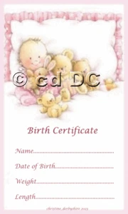CUTE PINK GIRL BIRTH CERTIFICATE/CERTIFICATES 4 REBORN FAKE BABY approx 7"x 4.5" - Picture 1 of 1