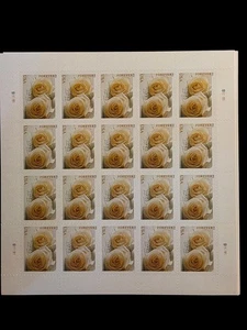 40 FOREVER STAMPS 2 SHEETS White Rose Wedding Invitations - Picture 1 of 1