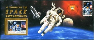 Sello Endeavour STS-68 de Estados Unidos 1994-9-30 volado $9,95, correo realmente espacial, correo de a bordo, certificado de autenticidad - Imagen 1 de 3