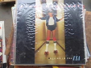 2 X LINDA RONSTADT Simple Dreams AND LIVING IN THE USA LP RECORDS BOTH EXCELLENT - Picture 1 of 2