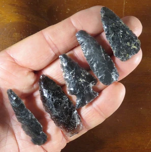 Nice group of 5 Archaic points found in southwest, Washington 1.5/8 - 2.1/8 in. - Picture 1 of 11