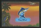 Novelty Detachable Magnet Postcard Key West, Florida Fl Marlin Parrot