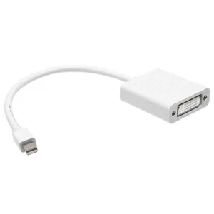 Rankie Mini DP to DVI, 1080P Mini DisplayPort to DVI Thunderbolt Compatible - Picture 1 of 1