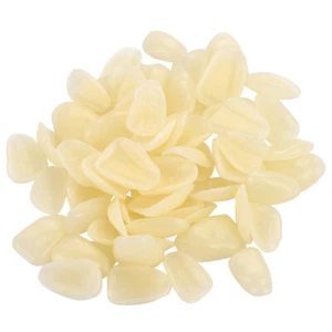 70 piezas/bolsas resina dentaduras postizas temporales dientes laterales dientes de plástico juego - Imagen 1 de 8