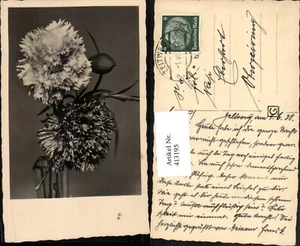 413195, clavo de flores - Imagen 1 de 1