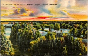 GOVERNMENT FISH HATCHERY Lonoke, Arkansas AR linen Birds Eye View Postcard - Picture 1 of 2