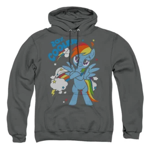 My Little Pony Friendship Is Magic "20% Cooler" Hoodie, Sweatshirt oder Long Slv - Bild 1 von 9
