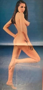 SEXY COVER CHEESECAKE YUJIRO MABUCHI HANA TO NAMIDA SEXY PINUP GW-8027/28 VINYL - Foto 1 di 10