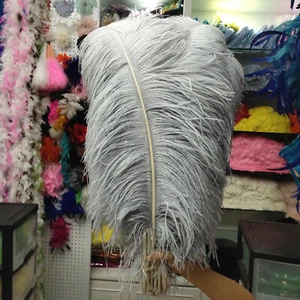 34 Color Wholesale 10-100PCS Thick Stem Male Ostrich Feather 40-80 cm/16-32 inch - Picture 1 of 60
