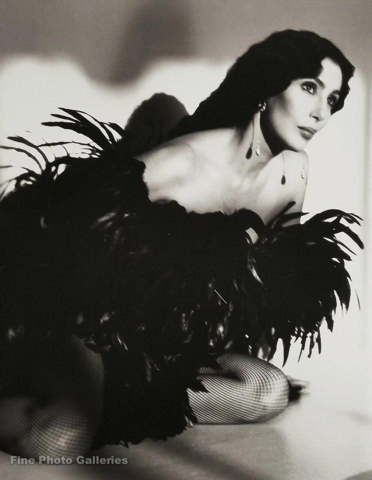 1991 年复古 CHER Diva Herb RITTS 音乐歌手电影羽毛照片艺术 16x20 — 第 1/1 张图片