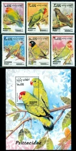Afghanistan 1999 Parrot,Abyssinian Lovebird,Papagei,Perroquet,Mi.1923,Bl.116,MNH - Picture 1 of 1