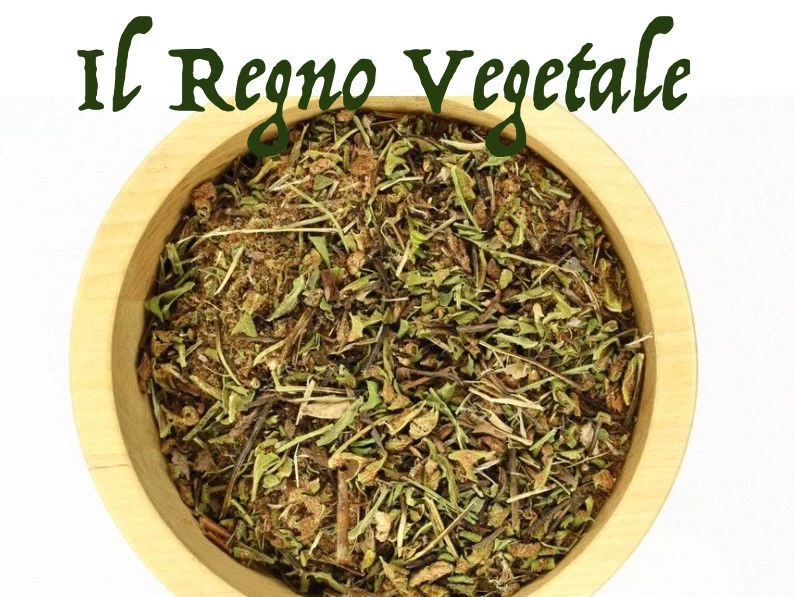 IL REGNO VEGETALE SPACCAPIETRA Puro Sommità Taglio Tisana Calcoli Renali Renella Sabbia Ceterach