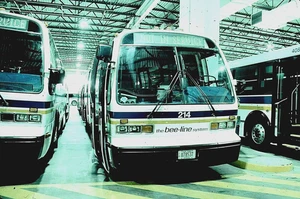 ORIGINAL KODACHROME SLIDE BEE LINE BUS 1979 RTS #214 VALHALLA, NY 23. MÄRZ 1996 - Bild 1 von 1