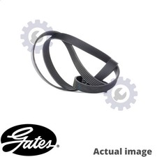 NEW V-RIBBED BELTS FOR SAAB CHEVROLET 900 II B258I 900 II CONVERTIBLE 9000 GATES