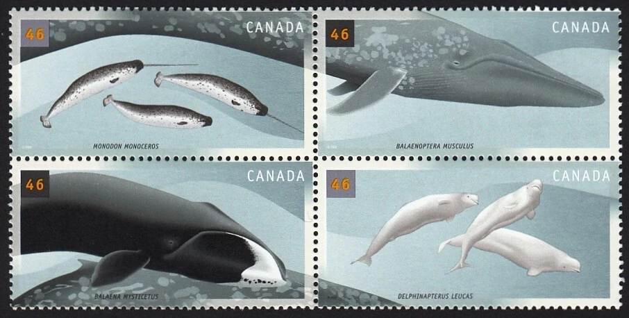 WHALES * NARWAL, BELUGA, BOWHEAD, BLUE WHALE = Canada 2000 #1871a = Block of 4 - Image 1 of 1