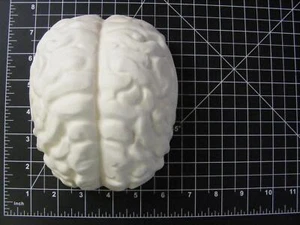 XXL Brains Mold, Bath Bomb Mold, Soap Mold, Chocolate Mold, Craft Mold - Picture 1 of 5