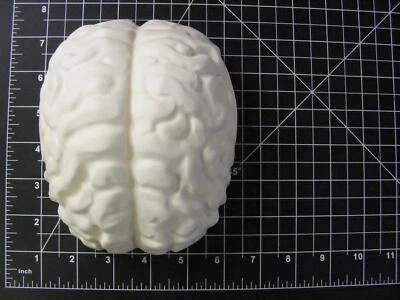 XXL Brains Mold, Bath Bomb Mold, Soap Mold, Chocolate Mold, Craft Mold - Image 1 of 4